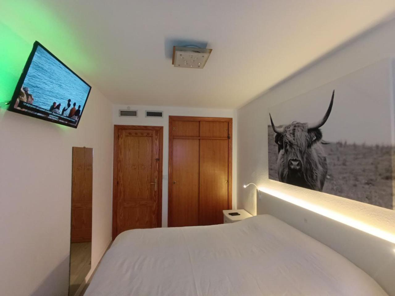Apartment To Rent In Costa Blanca Torrevieja Exterior foto